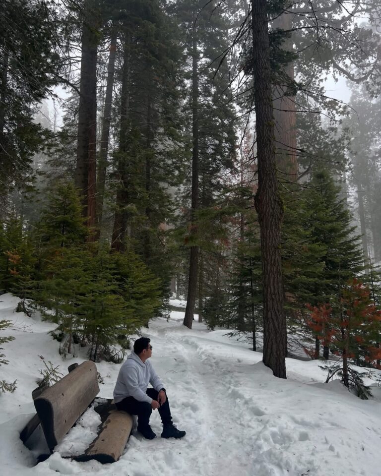Sequoia National Park, California