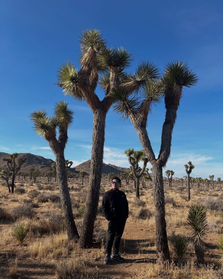 Joshua Tree National Park, California